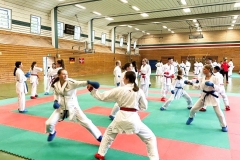 Photo_0016